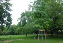 Baum und Bank für Volkspark